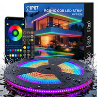 Guirlandes lumineuses 5m IP20 CE ROHS avec contrôle par application et télécommande, bande LED numérique RGB CCT COB AC 220V découpable