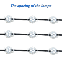 Luces LED RGB 12V/24V para Exteriores, Guirnaldas de Luces Navideñas para Paisajes, Iluminación Puntual Permanente para Decoración del Hogar