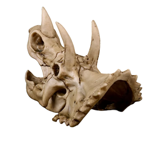 Triceratops resina para calavera SKD06 decoración de escritorio de animales de moda para oficina o Artesanías de resina de Halloween - Product Image 6