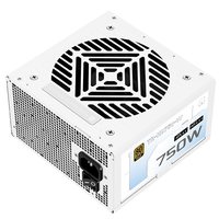 Sıcak Fırsat TR-KG750-W 80 PLUS GOLD Tam Modüler PCIe 5.1 ATX 3.1 PC Güç Kaynağı