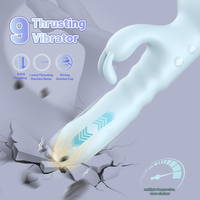 Vibrateur lapin S-hande à poussée, rechargeable par USB, stimulation du point G féminin, vibrateur de massage avec ventouse