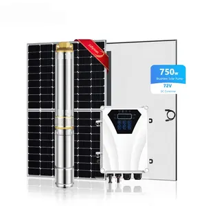 Pemasok profesional pompa air tenaga surya 750W 1hp, pompa air tenaga surya dengan panel surya