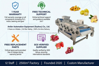 Efficiënte sapcentrifuge, koudpers type, fruitbandpers voor bessen en appels