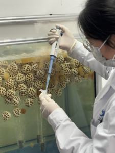 BQ N2 probiotik denitrifikasi akuatik Nitrogen-menghilangkan bakteri untuk penghilangan nitrit dan nitrat - Product Image 5