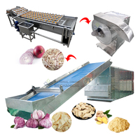 Ligne de production industrielle pour le traitement du gingembre sec, séchoir à curcuma et ail, machine de séchage du gingembre et des oignons