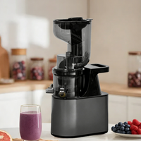 Extracteur de jus lent robuste à large ouverture pour une séparation claire des pulpes, idéal pour la cuisine domestique