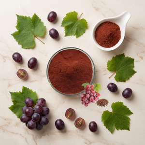 Fabricante de Polvo de Extracto de Uva, Extracto de Uva de Calidad, Proveedor Mayorista de Grado Alimenticio - Product Image 1