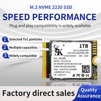 Vente directe d'usine, mini console de jeu compatible PS4/5, ordinateur portable 2230 256 Go/512 Go/1 To/2 To NVMe PCIe 3.0 3*4 SSD