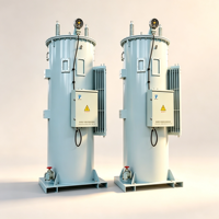 Régulateur de tension monophasé automatique pour système d'alimentation industriel extérieur 7,62 kV 13,8 kV 24,9 kV 34,5 kV 30-660 kVA
