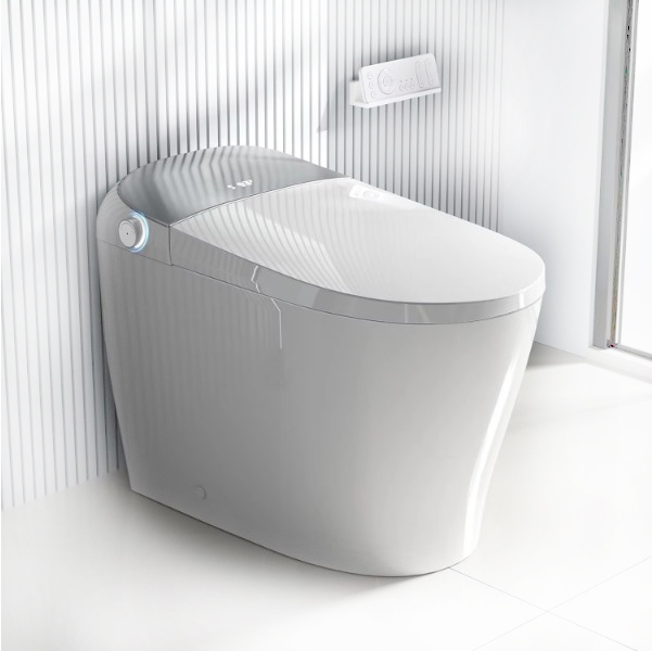 Custom Smart Toilet Bidet Built in