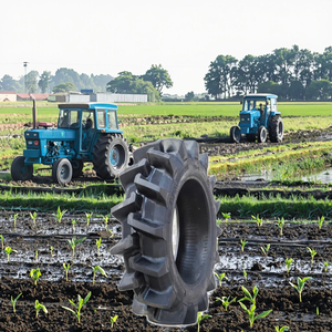 Pneus de tracteur de haute qualité 11.2-38 11.2-24 13.6-28 11.00-38 11.2-20 12.4-28 <span class=keywords><strong>14</strong></span>.9x24 <span class=keywords><strong>16</strong></span>.<span class=keywords><strong>9</strong></span> 30 18 4 38 23.1x34 en provenance de Turquie 70 - Product Image 4