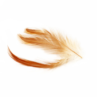 Plumes de coq grizzly pour la pêche à la mouche