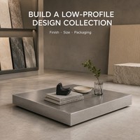 Table basse KINNO en acier inoxydable à profil bas 100x100x15cm, table carrée en métal sablé pour salon design, OEM ODM