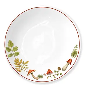 Wholesale European Fine Ceramic Tableware 16 Pcs Table Ware ceramic dishes set