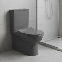WC en céramique deux pièces à chasse d'eau par lavage, finition gris mat, sanitaires pour salle de bain