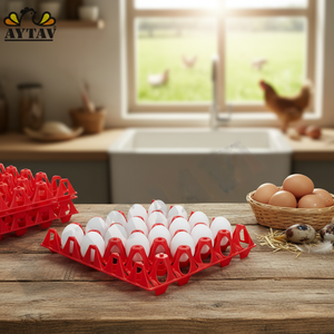 Bandeja para Huevos de Material Moldeado de Pulpa de CPET PP Ecológico y Duradero, para 20 Huevos de Pavo/Pato, 30x30x5.5cm, 140g, Transporte Seguro, AYTAV Todo - Product Image 3