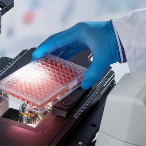 Microscopio de Fluorescencia Invertido Zeiss Axiovert 5 con Iluminación LED para Observación Celular - Product Image 4