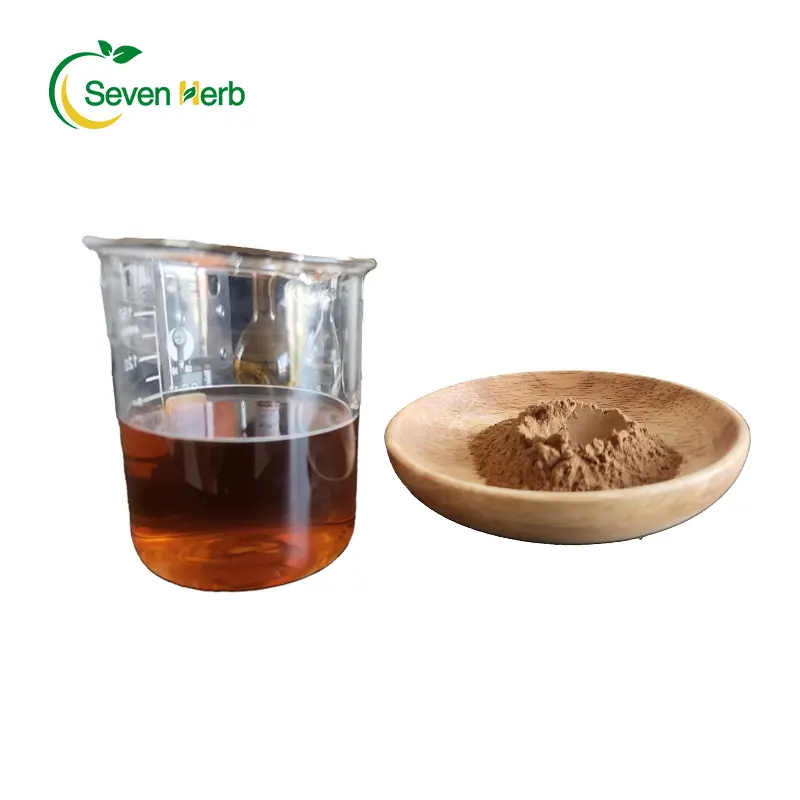 Wholesale price chinese thorowax root extract bupleurum extract natural bupleurum root extract for supplements