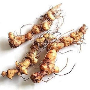 Ekstrak Polygonatum Odoratum Premium UNTUK parfum suplemen <span class=keywords><strong>Herbal</strong></span> dan solusi hidrasi kulit - Product Image 3