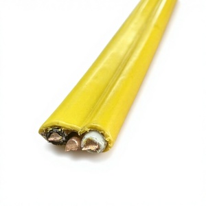 สายเคเบิลมาตรฐาน Nm-b คุณภาพสูง ขนาด 14/2, 12/2, 12/3 AWG ประเภท 12AWG, 14AWG ลวดทองแดงตัน สายเคเบิลมาตรฐาน Nm-b คุณภาพสูง ขนาด 14/2 - Product Image 1