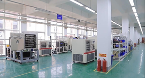 Laboratuvar soğutma ekipmanları için Small küçük boy Lab liyofilizasyon donmalı kurutucu vakumlu dondurucu kurutucu - Product Image 5