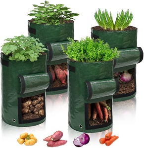 <span class=keywords><strong>Sac</strong></span> de culture de pommes de terre de <span class=keywords><strong>jardin</strong></span> portable Sacs de jardinière de légumes avec poignées - Product Image 1