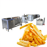 50-100kg chauffage au gaz semi-automatique friteuse alimentaire frites équipement de traitement chauffage électrique lot machines à frire