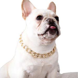 Collar de Cadena Dorada de Plástico para Perros Pequeños y Medianos, Gatos, Estilo <span class=keywords><strong>Bulldog</strong></span> Francés, Accesorios de Joyería para Mascotas - Product Image 1
