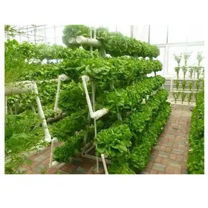 Гидропонная система для выращивания салата, вертикальная гидропонная система