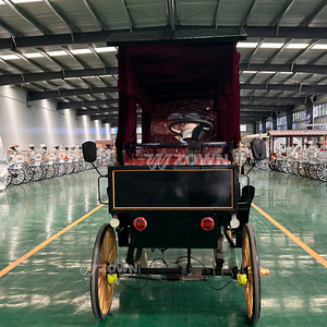 Carruajes de caballos para turismo al aire libre, ideales para recorridos turísticos, carruajes de caballos eléctricos para turismo en venta. - Product Image 5