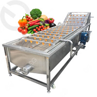 Industriële Verse Groente Fruit Reiniging Drogen Verwerking Machines Droge Data Wasmachine Voor Verkoop