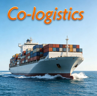 Expédition en Allemagne avec fret maritime intelligent DDP : livraison sécurisée garantie et prix transparents