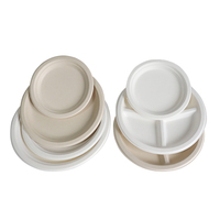 Assiettes jetables en canne à sucre 100 % compostables et biodégradables sans PFAS pour les voyages