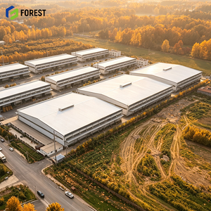 Nave Industrial de Acero Estructural Prediseñada de Alta Capacidad de Carga, Almacén de Gran Espacio Libre, Edificio Comercial para Plantas Industriales - Product Image 1