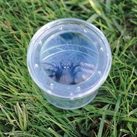 Boîte d'observation d'insectes avec loupe pour enfants, boîte de collecte et de visualisation d'insectes, pot d'observation des insectes pour l'exploration scientifique et la découverte de la nature