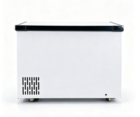 Congélateur coffre grande capacité 500L, ouverture par le haut, porte simple, congélateur commercial pour restaurant et cuisine