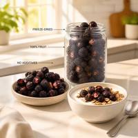 Gefreeze-droogde blauwe bessen, bulkverpakking, rechtstreeks van de fabriek, ingrediënt voor ijs, dessert, smoothie en ontbijt
