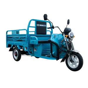2022 hot sale 3 wheel electric express tricycle cargo bike/food delivery cargo tricycle /electric tricycle