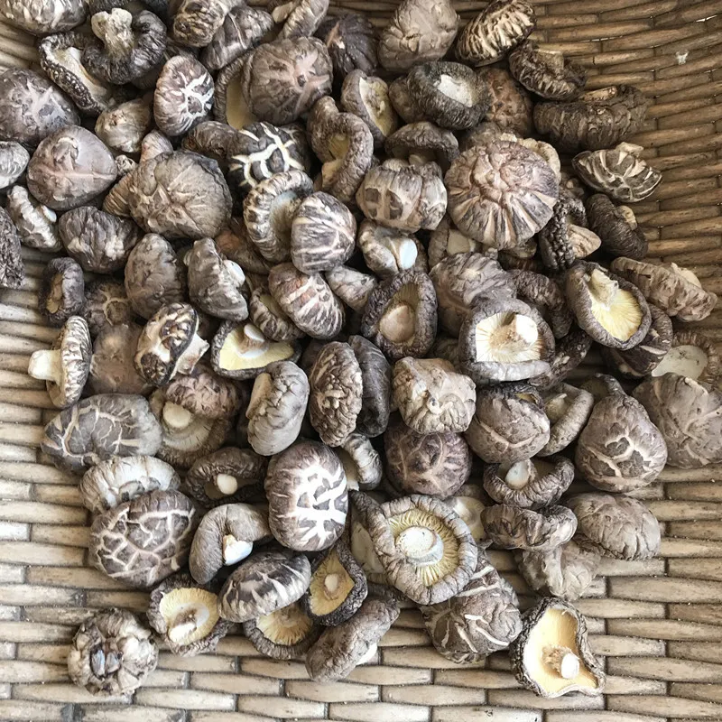 Setas de Shiitake deshidratadas, precio a granel de exportación chian