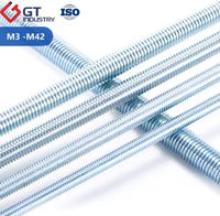 Manufacturer of 1000mm-3000mm Long Fully Threaded UNF Hexagon Head Carbon Steel Galvanized Stud Bolt DIN 603