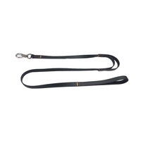 Laisse pour chien, en Nylon étanche et personnalisable, Durable, en plomb écologique pour chiens de tailles moyenne et grande