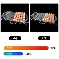 Plateaux à oeufs en plastique transparent bon marché boîte à oeufs livraison gratuite plateau à oeufs en plastique avec poignée