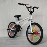 Vélo Freestyle, Vitesse Unique, Roues de 20 Pouces, Cadre en Acier Cro-mo, Vélo de Rue, Stunt