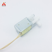 Petit compresseur d'air électrique 12 volts 24vdc, mini compresseur d'air électrique, électrovanne