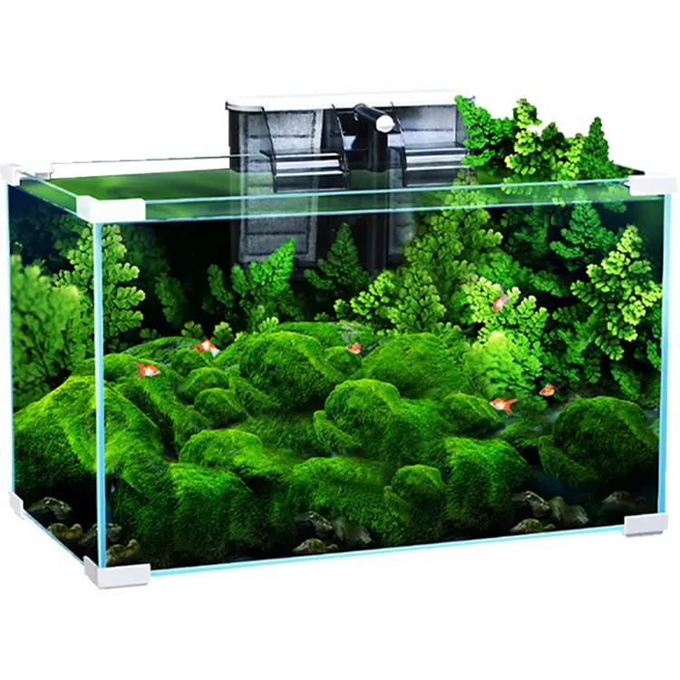 Groothandel Dierbenodigdheden Aquarium Aquarium Sier Landschap Ultra Wit Hd Glas Verschillende Grootte Aquarium Fish Tank