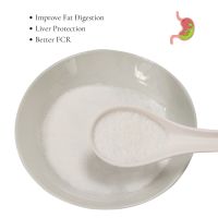 Acide bilique de qualité alimentaire en poudre blanche : Prévient le syndrome hépatobiliaire aquatique et renforce l'immunité