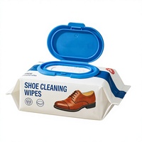 Lingettes nettoyantes jetables pour chaussures à décontamination rapide, très vendues, écologiques, portables, supportent la personnalisation et la vente en gros