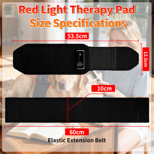 Dispositivo de Terapia de Luz Roja para Perros, Portátil, con Temporizador, Batería Integrada y Control Remoto para Tratamiento Médico en Gatos y Perros - Product Image 3