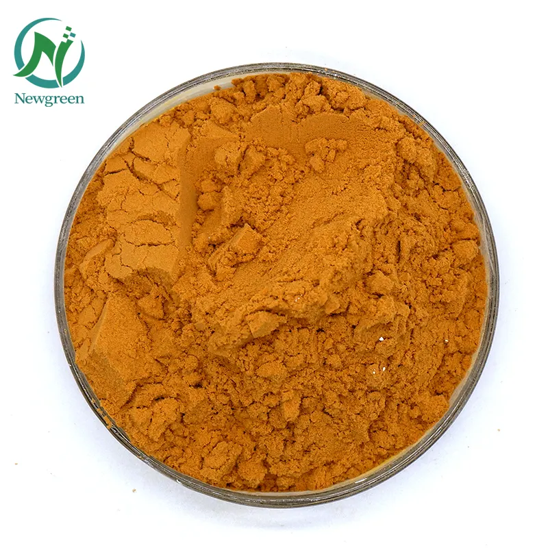 Newgreen Supply Wholesale Hoge Kwaliteit Radix Angelica Sinensis Root Extract Dong Quai Extract