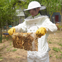 2024 Bestseller USA Witbee BC-1 Professioneller Schutzanzug für Imker mit Schleier und Reißverschluss aus Baumwollmaterial in Weiß/Braun, Einfach zu Montieren